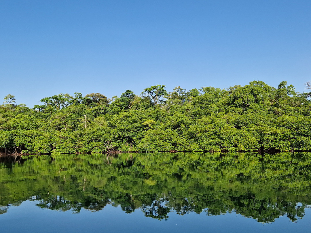 Dolphin Bay Hideaway主图