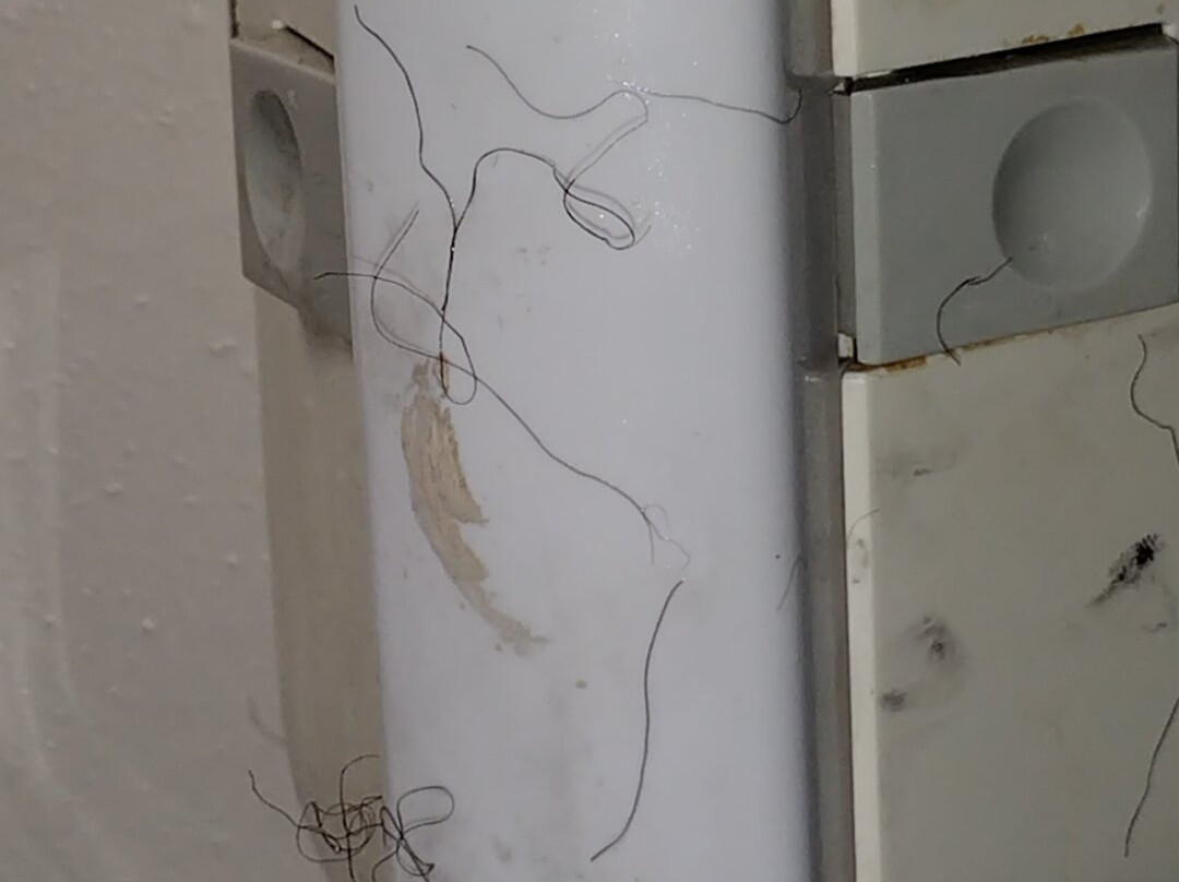 Quality Inn Reidsville Hwy 29主图