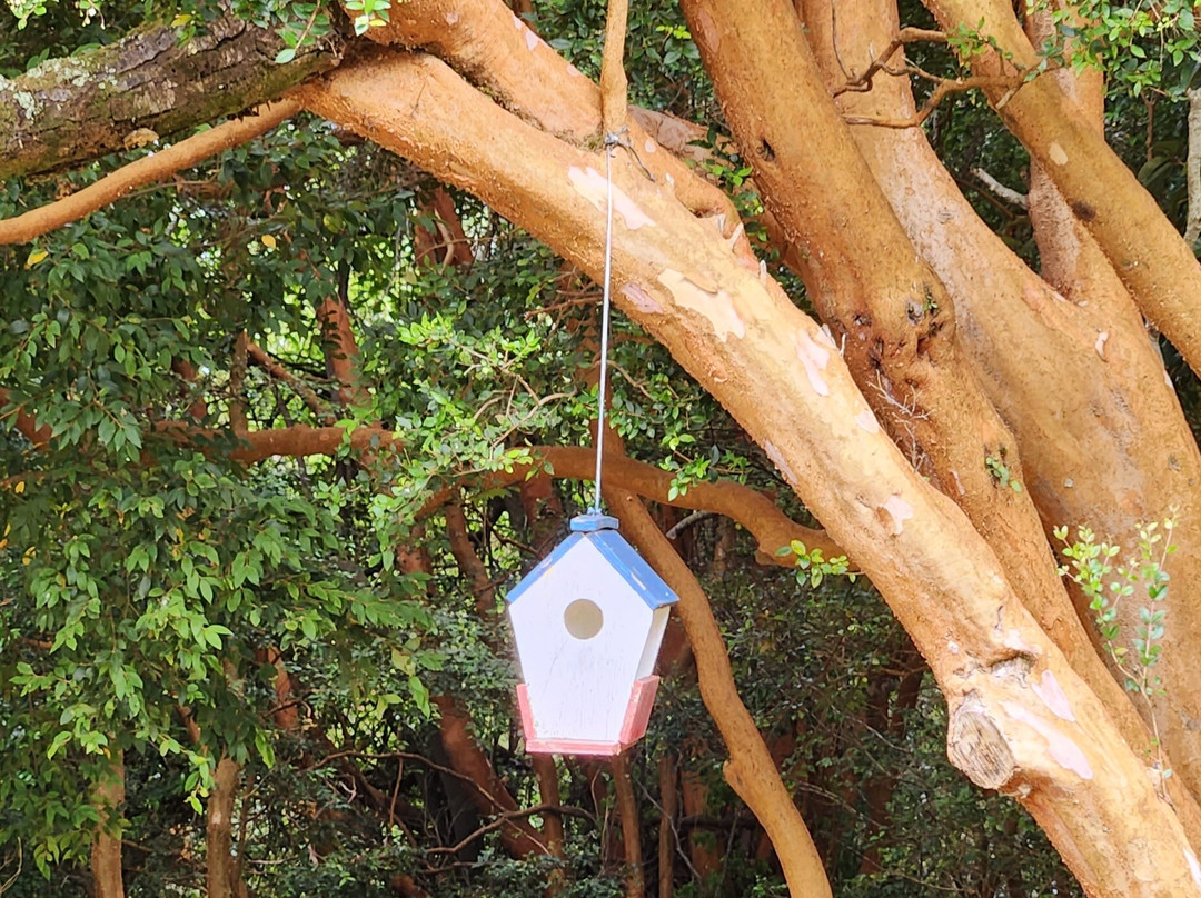 Mirador La Voladora-Puqueldon必去景点