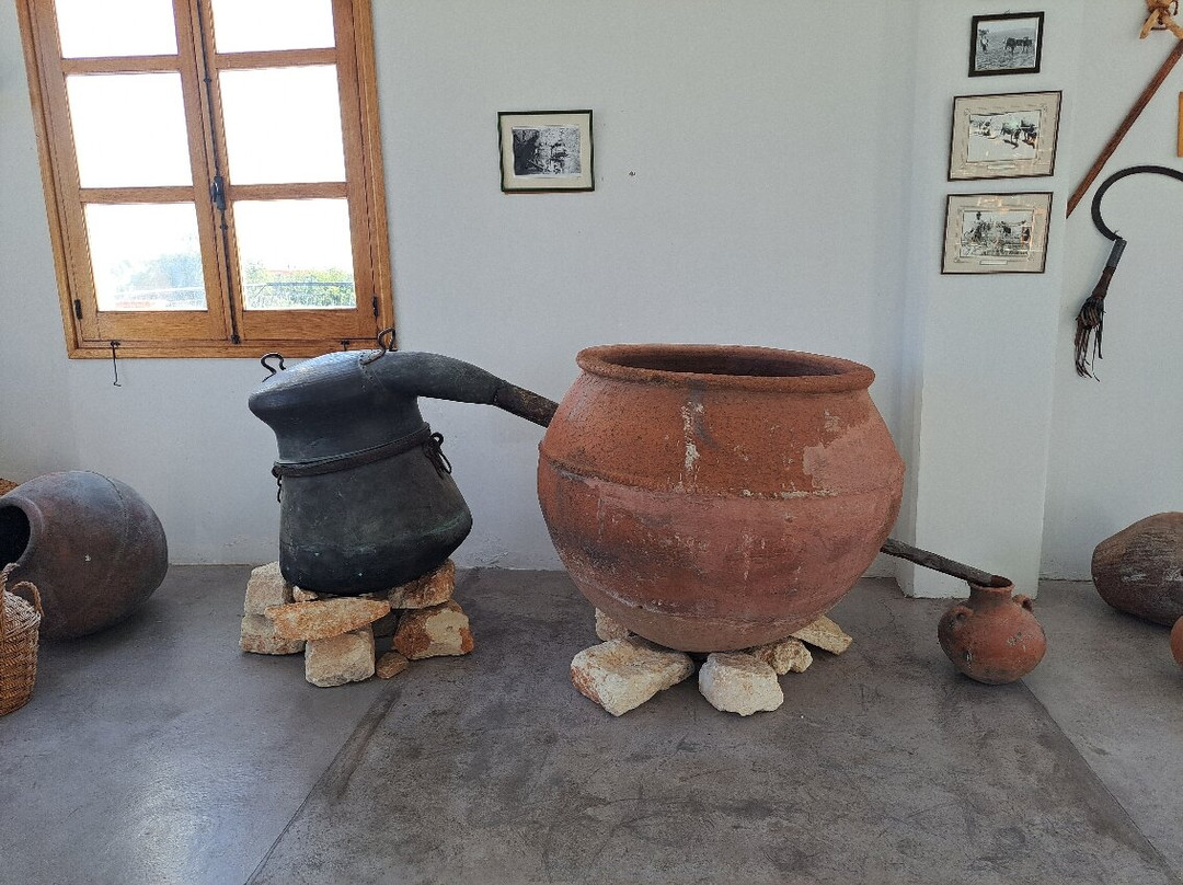 Vasilikon winery-卡西卡斯必去景点