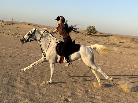 Dubai Desert Horse Ride Experience-迪拜必去景点
