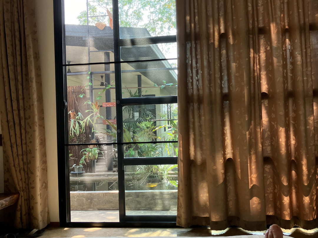 Bambuh Boutique Homestay主图