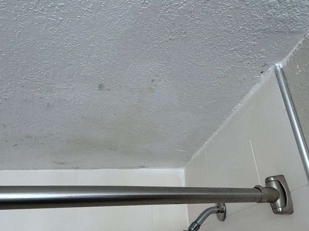 Holiday Inn Express & Suites Live Oak by IHG主图