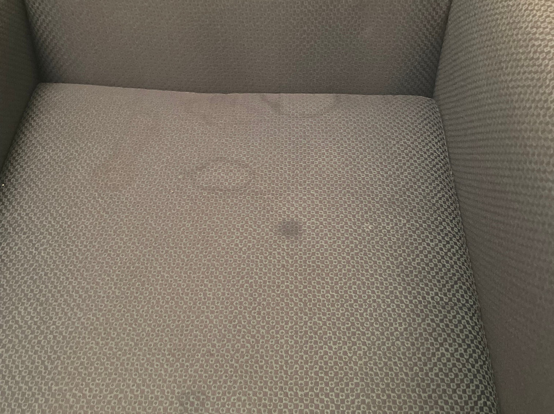 Comfort Inn & Suites Lantana - West Palm Beach South主图