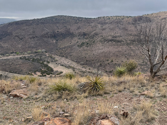 Davis Mountains State Park-Fort Davis必去景点