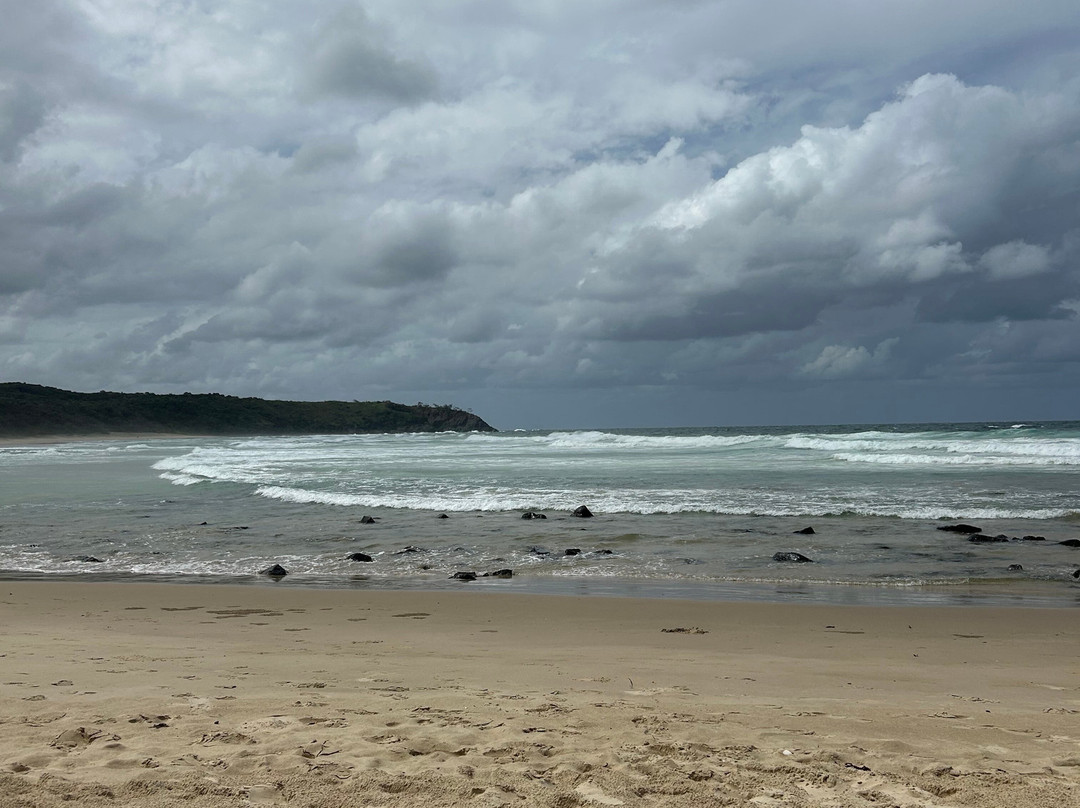 Noosa Farmers Market-努沙必去景点
