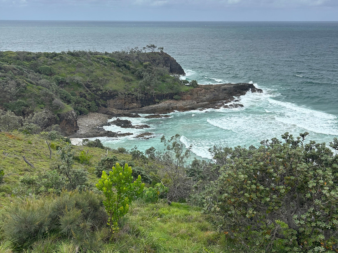 Noosa Farmers Market-努沙必去景点
