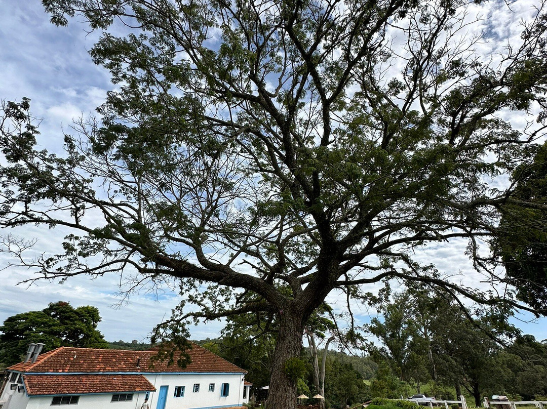 Fazenda Sao Joao-Ribeirao Claro必去景点