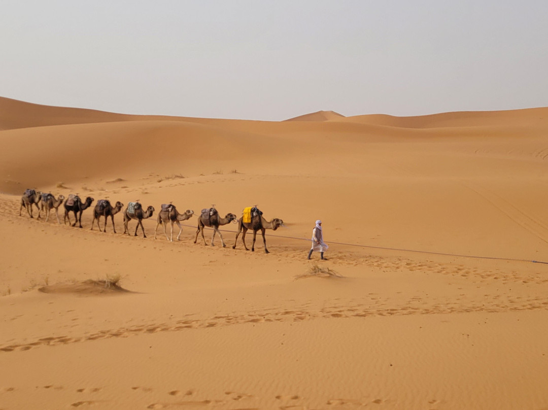 Morocco Best Travel-马拉喀什必去景点