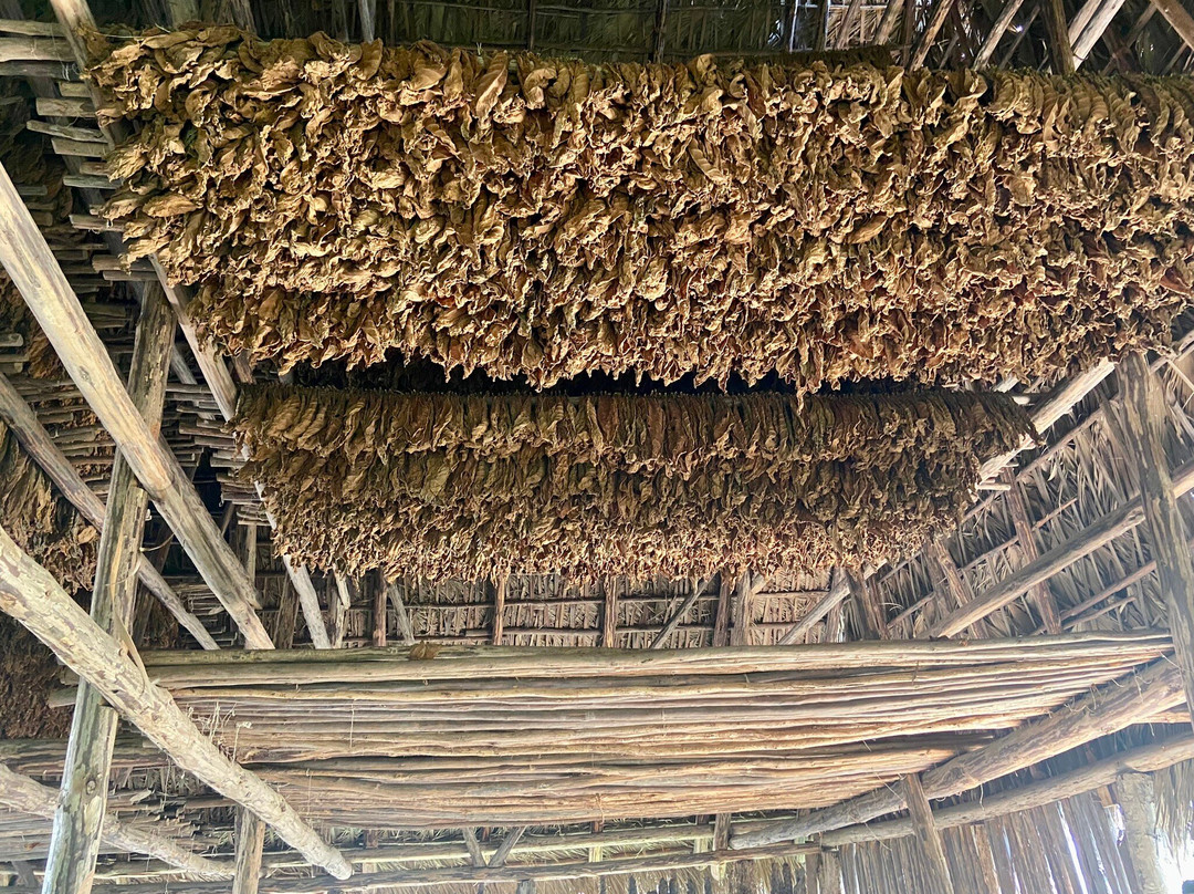 Knowing Vinales Tour-维纳勒斯必去景点