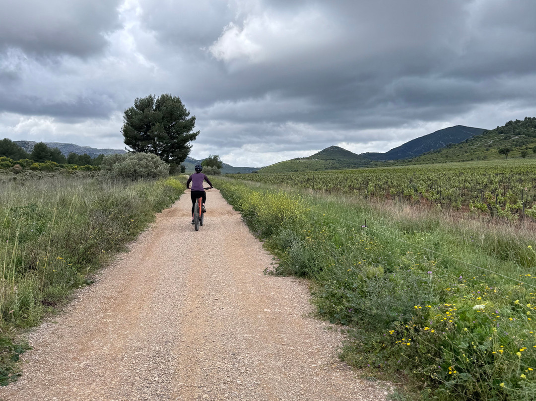 Trolib-卡西斯必去景点