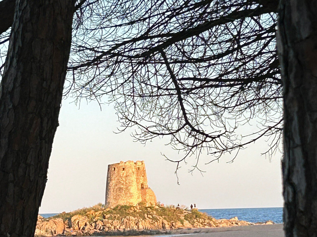Torre di Bari-Torre di Bari必去景点