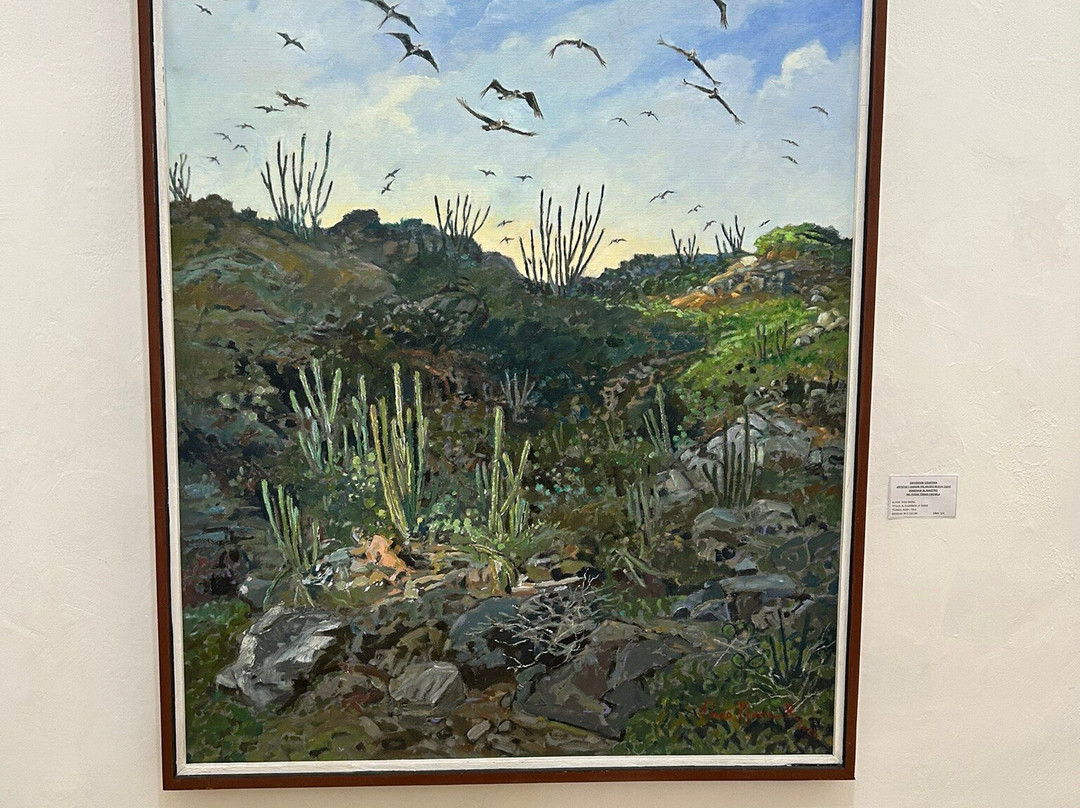 Museo Nueva Cadiz景点图片