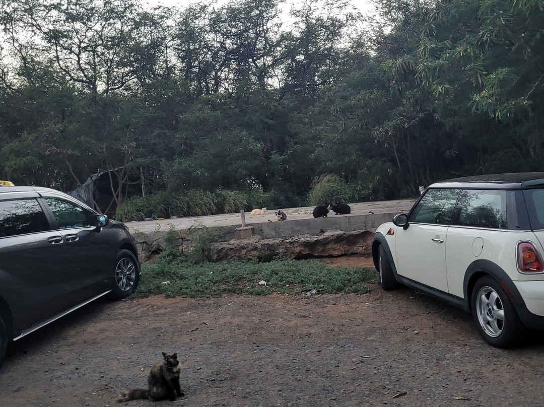 Kanaha Beach Park-卡胡卢伊必去景点