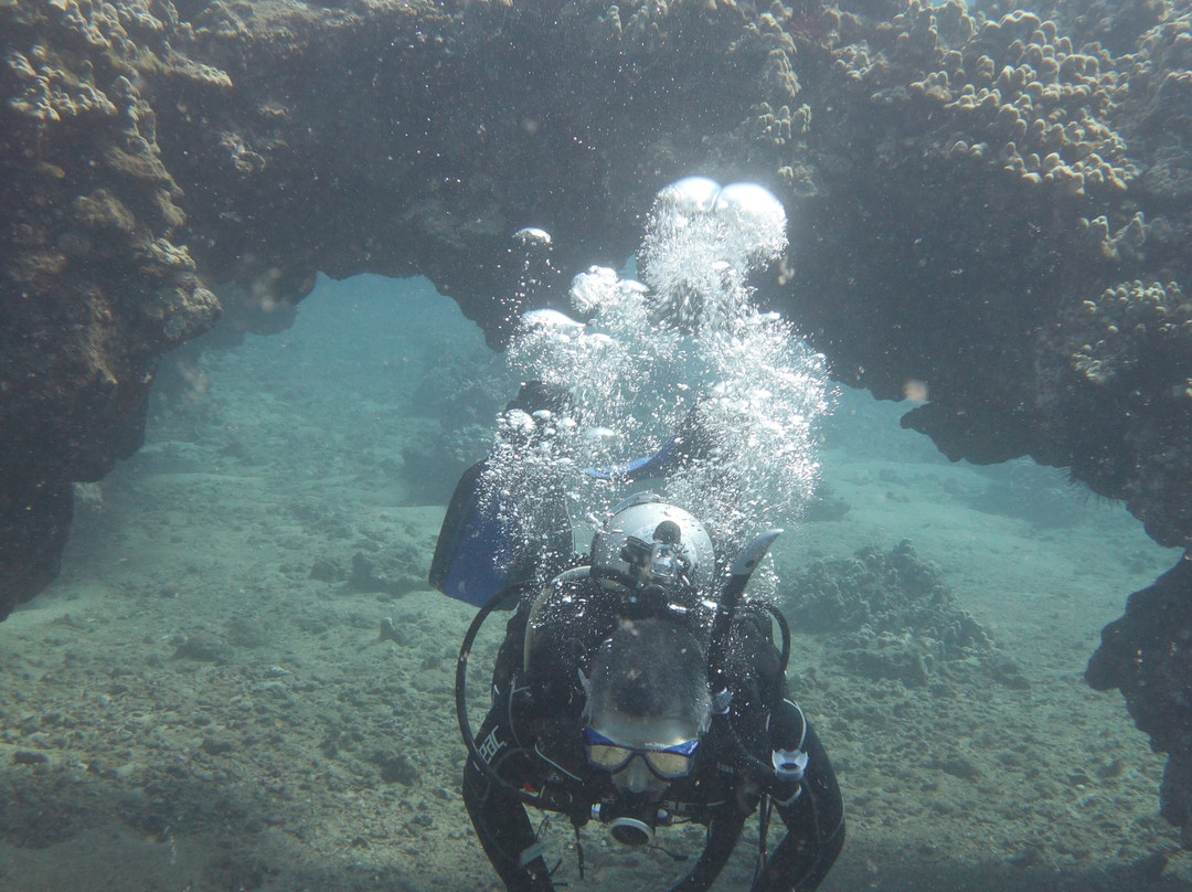 Aloha Maui Diving景点图片