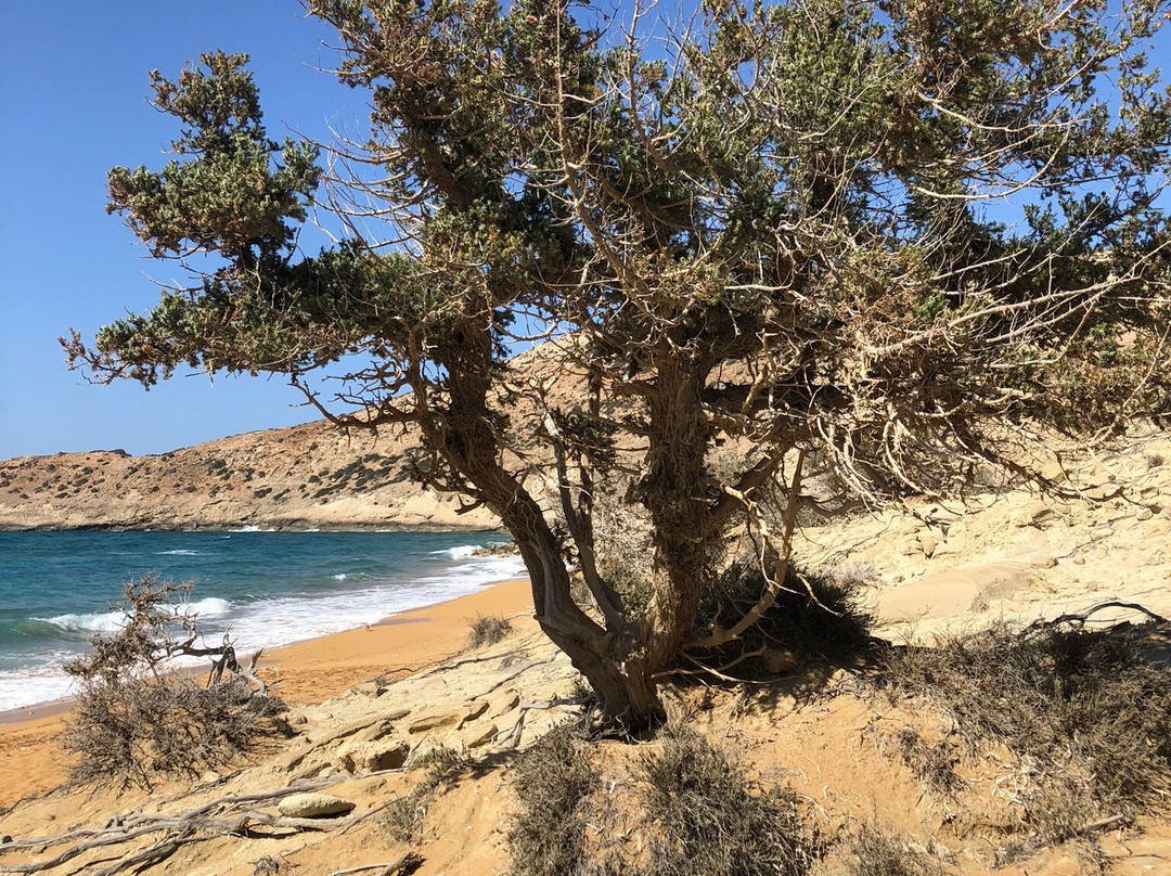 Potamos Beach-Gavdos必去景点