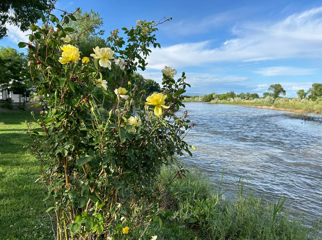 Riverwood Resort on the Gunnison