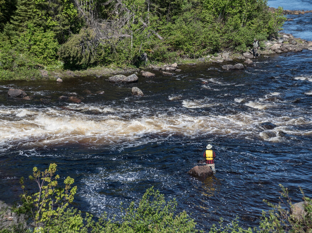 By the Bay Bed & Breakfast主图