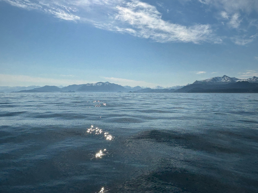 Seldovia Bay Ferry-荷马必去景点