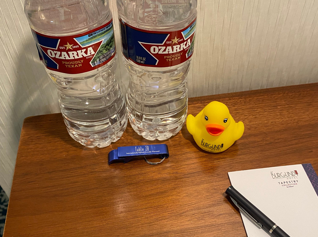 The Burgundy Hotel, Tapestry Collection by Hilton主图