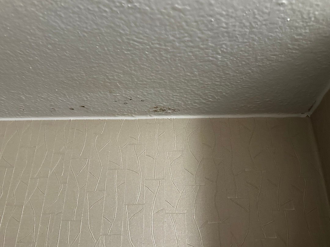 SpringHill Suites by Marriott Dallas Addison/Quorum Drive主图