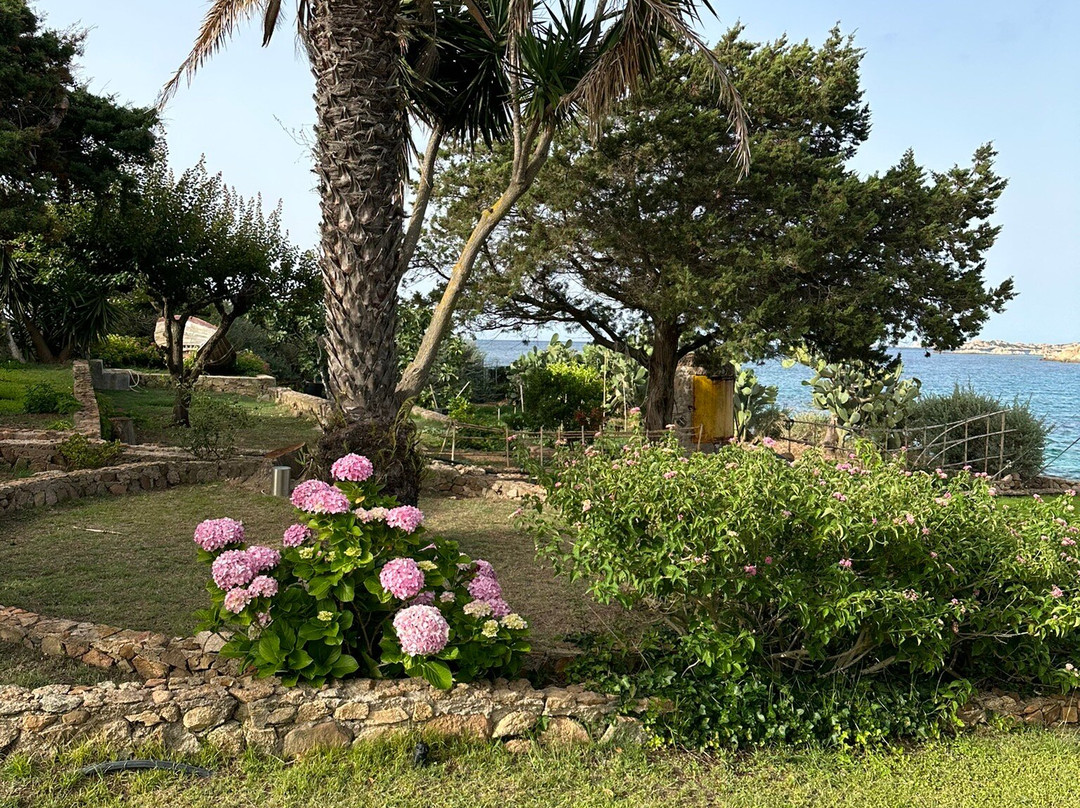 B&B Cala Peticchia主图