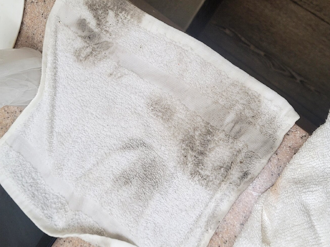 Super 8 by Wyndham Cleveland主图