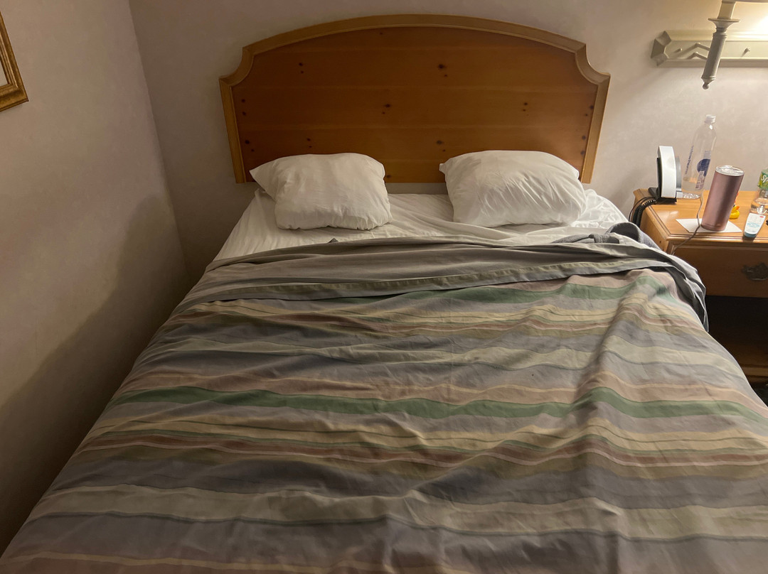 Magnuson Grand Pioneer Inn and Suites主图