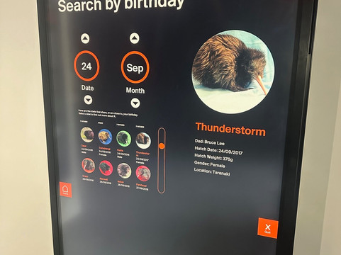 The National Kiwi Hatchery Aotearoa-罗托鲁瓦必去景点