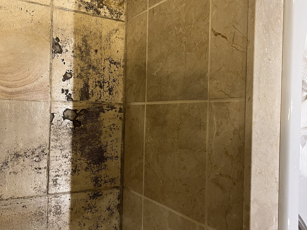 提亚特洛酒店主图