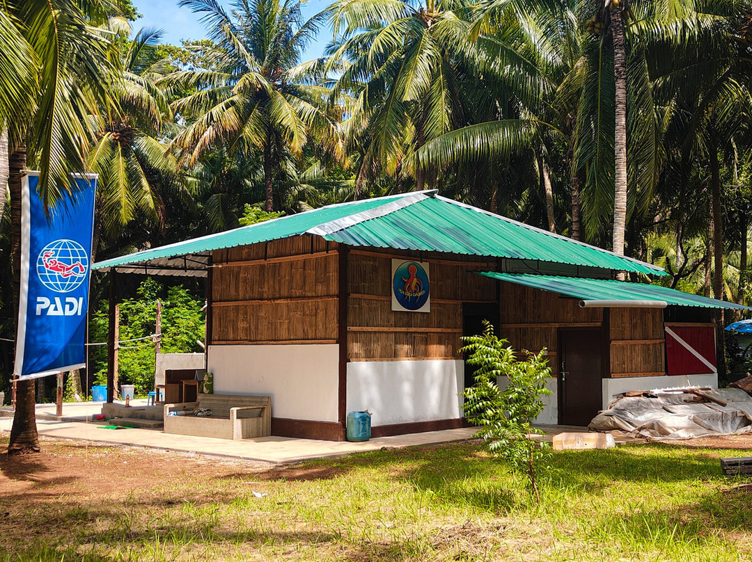 India Scuba Explorers | Padi Dive Center-Neil Island必去景点