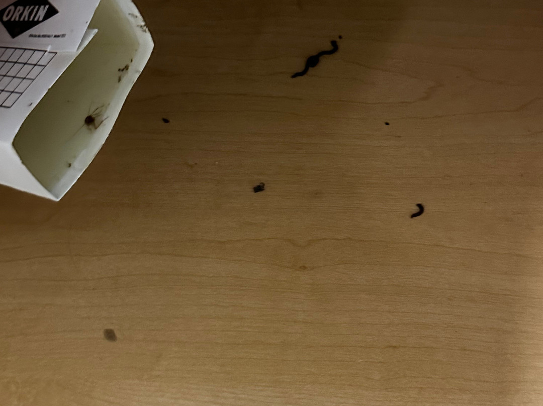 The Crossroads Motel主图