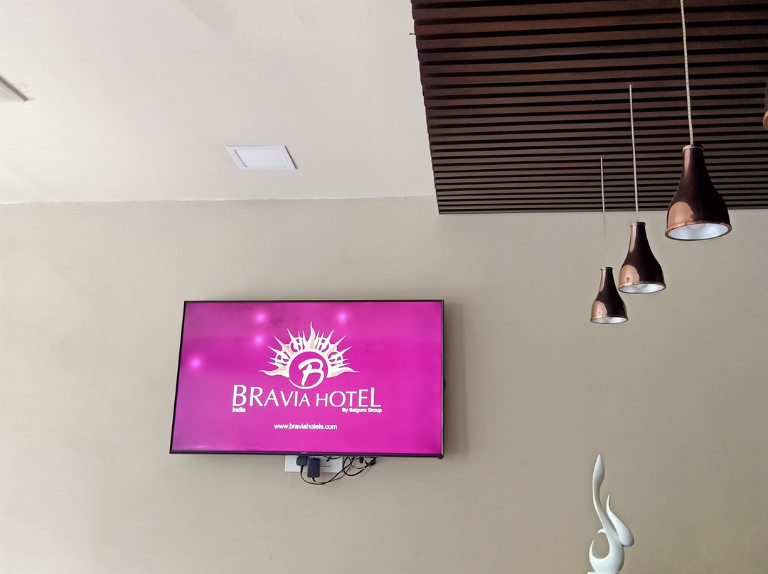 Bravia Hotel by Satguru Group主图