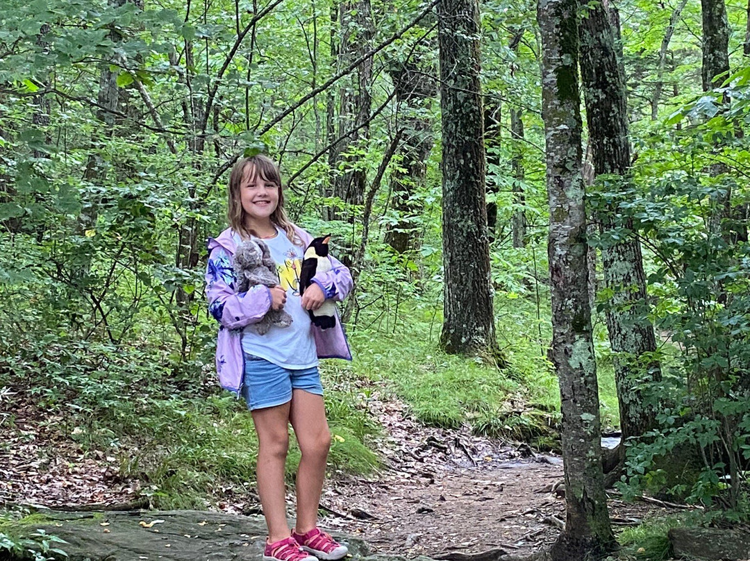 Skinny Dip Falls-Canton必去景点