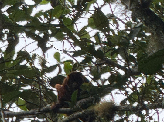 El Dorado Nature Reserve主图