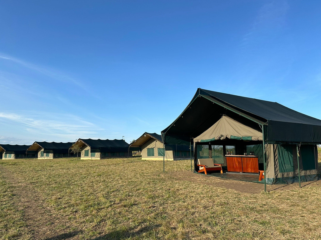 Kimbilio Serengeti Camp主图