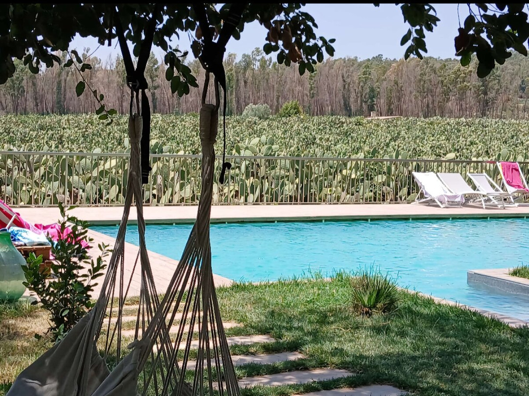 卡尔塔尼塞塔省酒店住宿-Rami Rural Resort