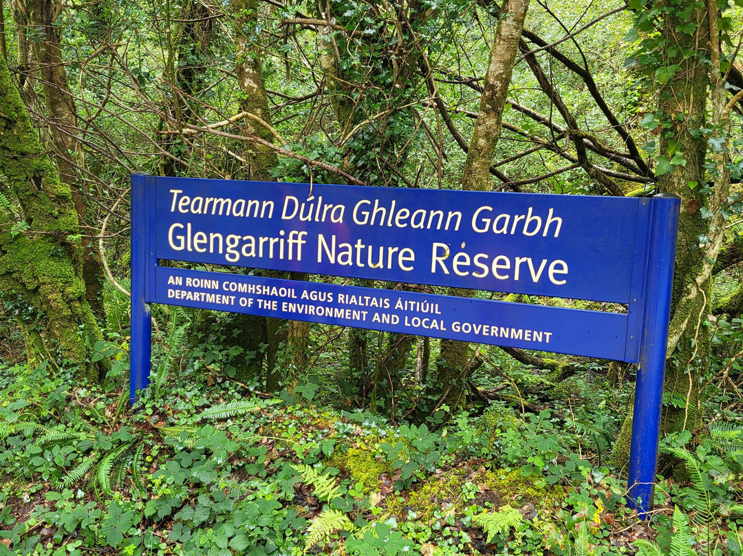 Glengarriff Nature Reserve-Glengarriff必去景点