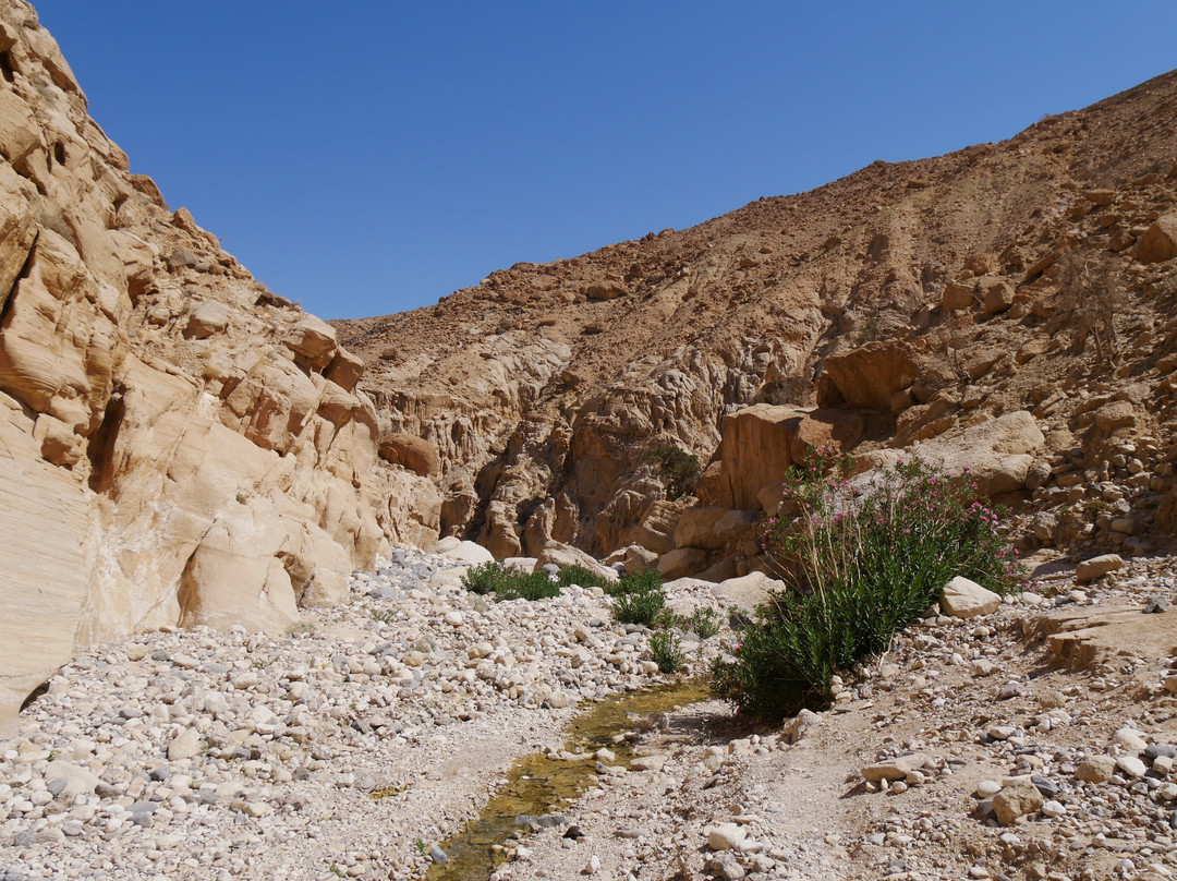 Wadi Ghuweir景点图片