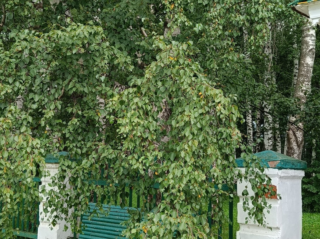 Karabikha State Memorial Literature Museum Preserve (N. A. Nekrasov)景点图片