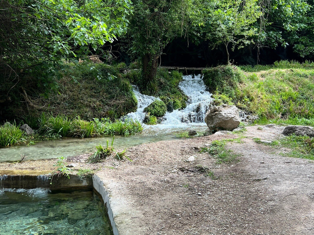 Bosque Encantado de Higueras-Pozo Alcon必去景点