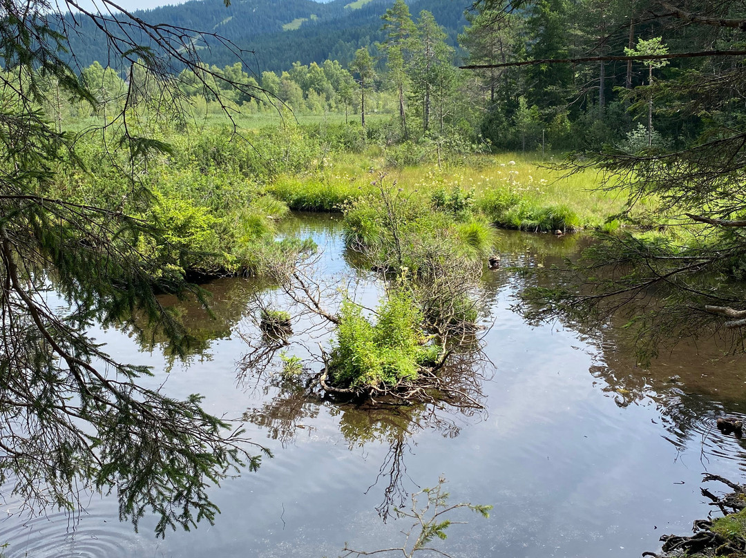 Wildsee-湖地必去景点