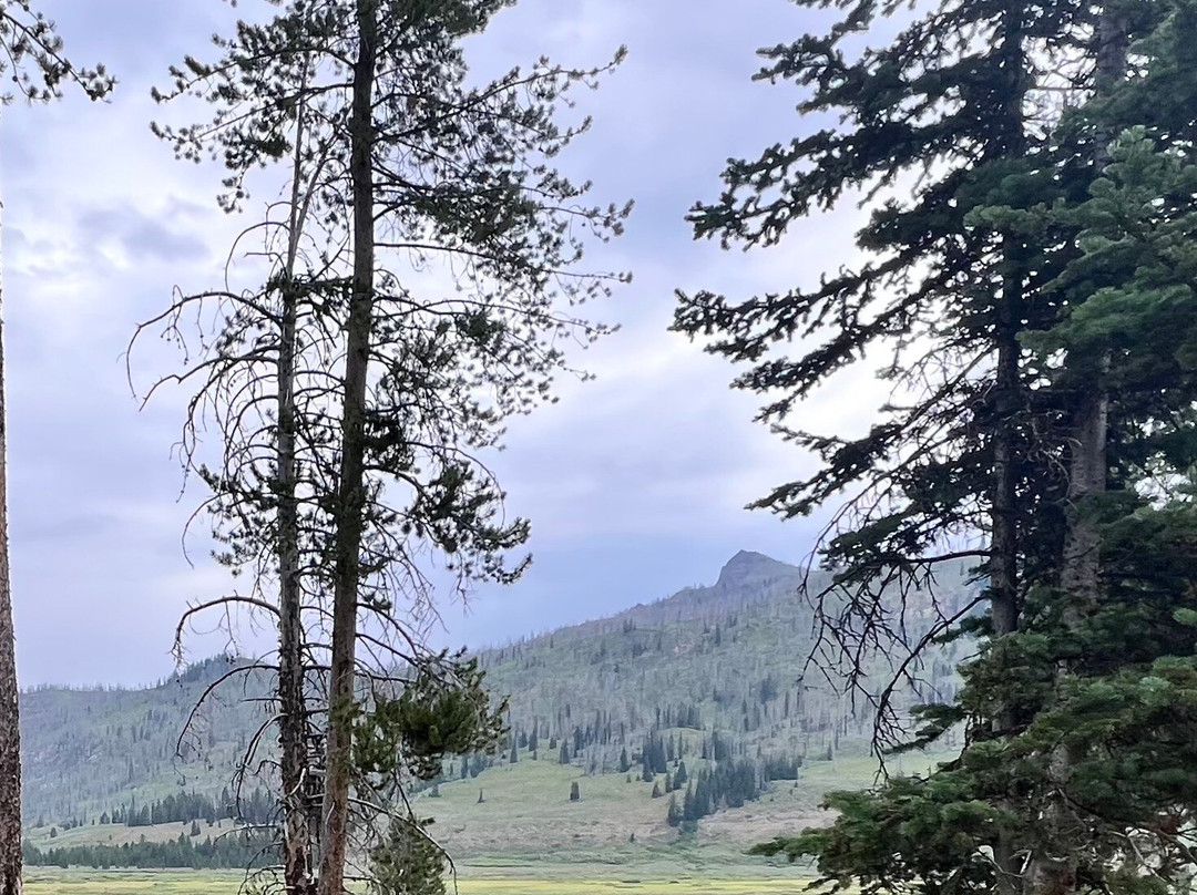 Yellowstone Outfitters-莫兰必去景点