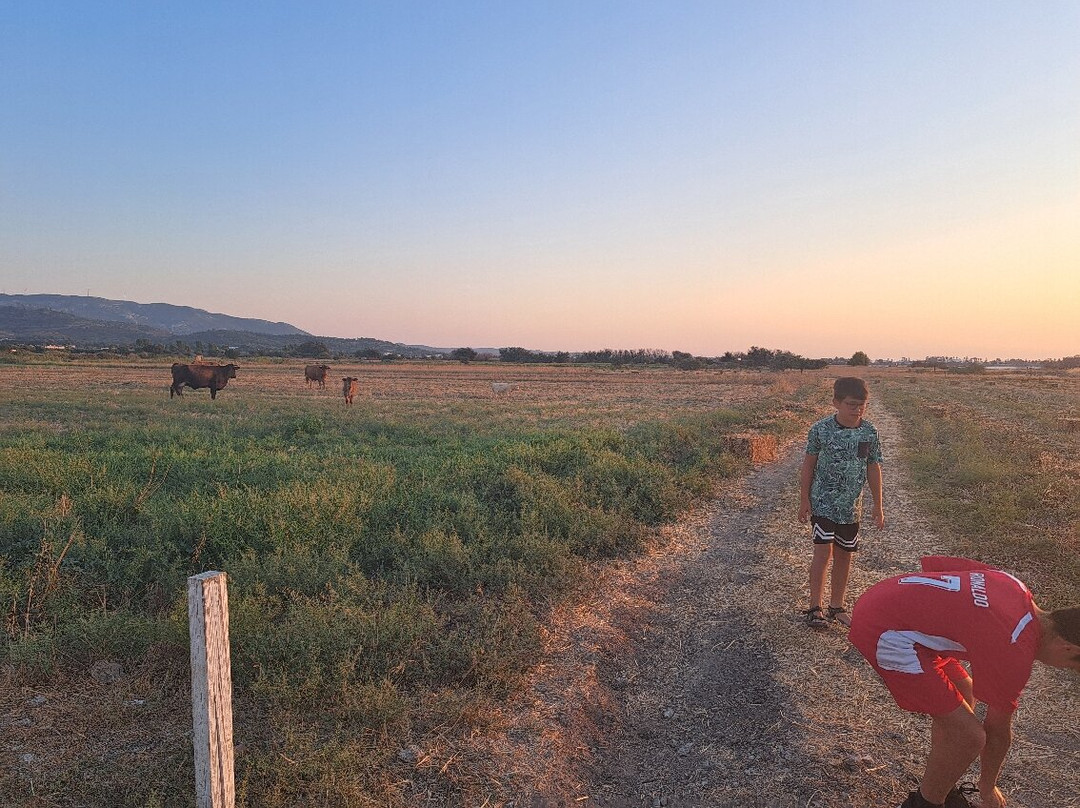 Oasis Apartments, Kos主图