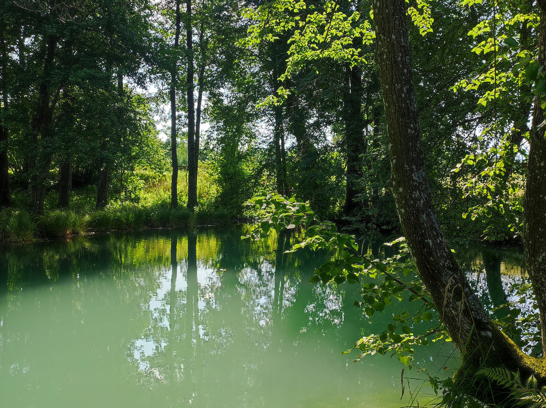 Blue Well/ Blue Krynica-Kliny必去景点