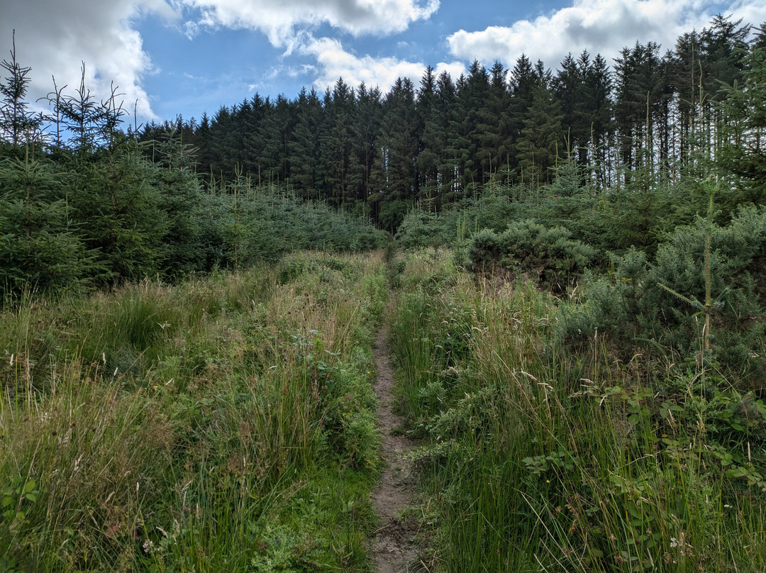 Slieve Bloom Mountains-Kinnitty必去景点