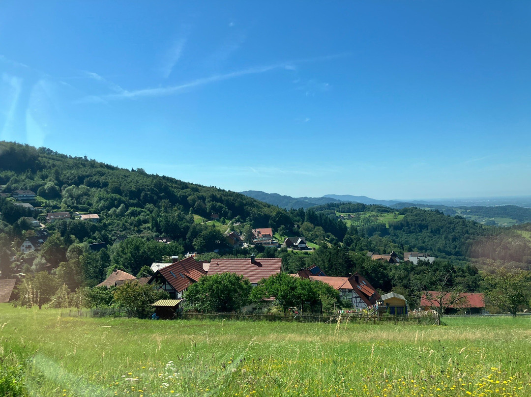 Schwarzwald Hochstrasse-拜尔斯布龙必去景点