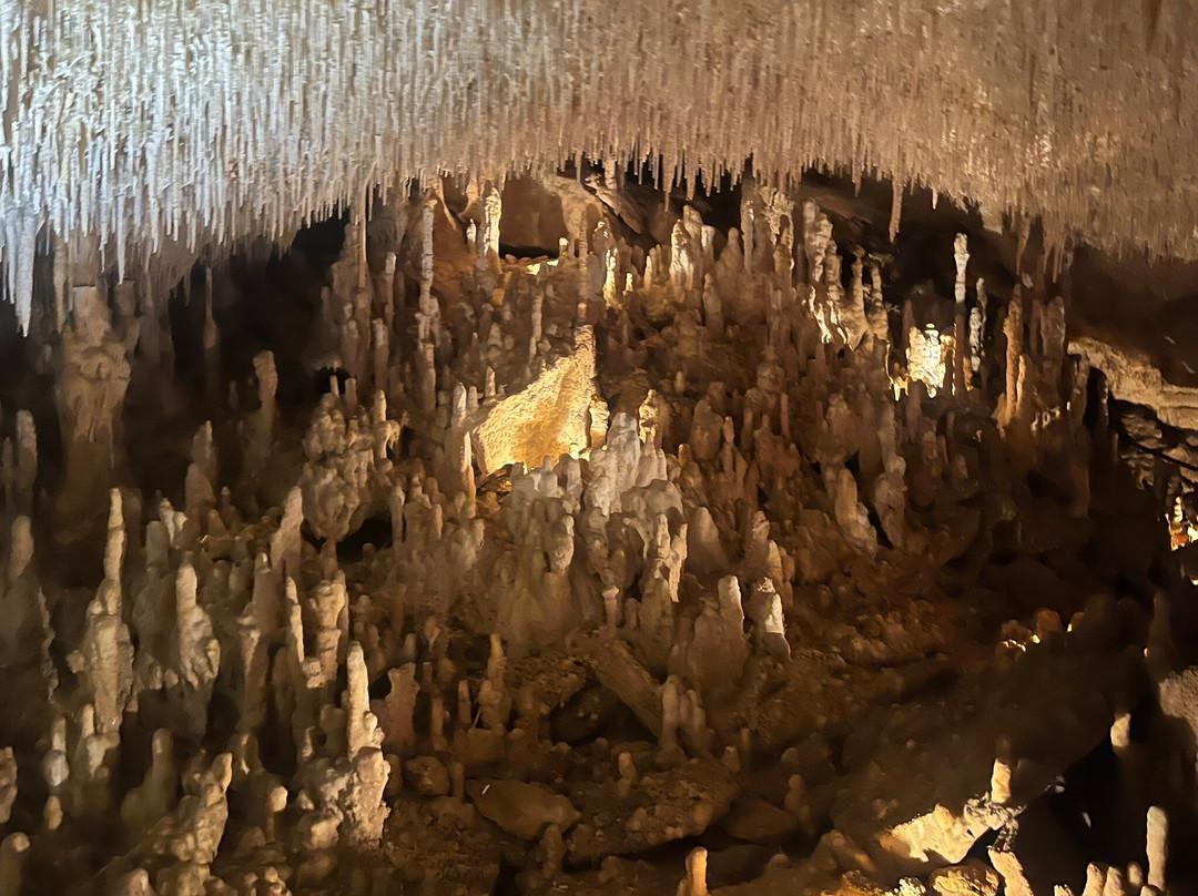 Grottes de Cougnac景点图片