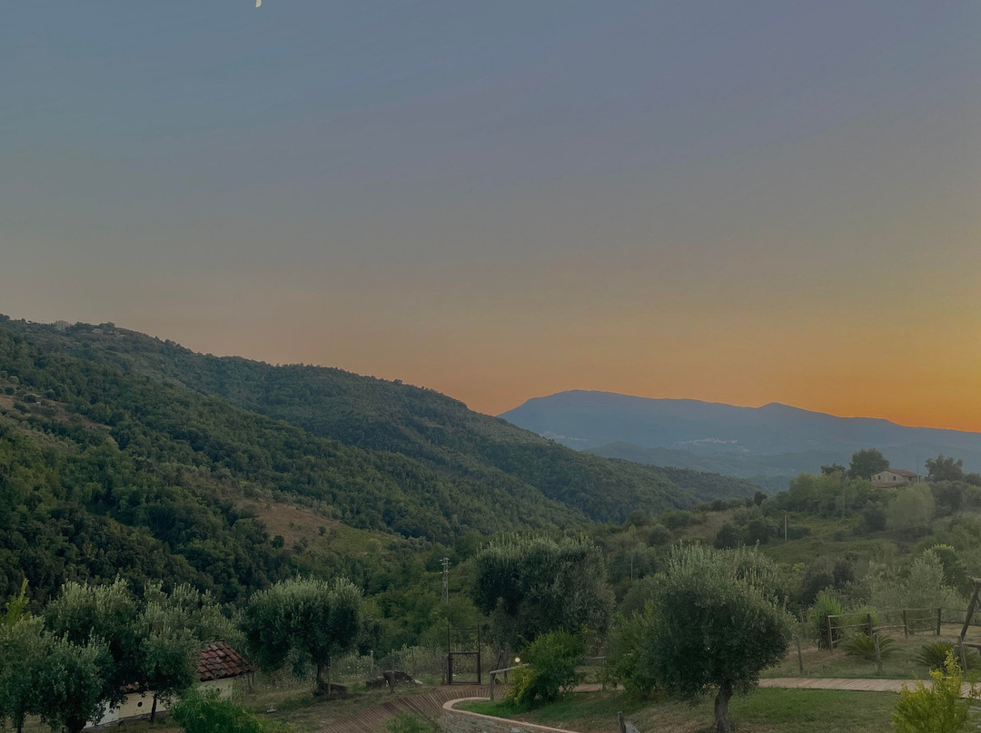 Azienda Agricola Piano di Andrea主图