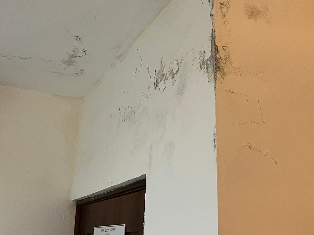 Ecovergel Hotel Boutique & Spa主图